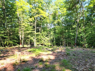 3540 W Hickory Creek Ct, Martinsville, IN, 46151