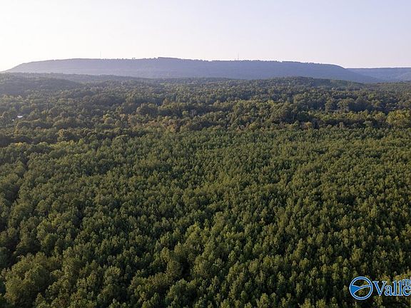 5th image of 110 Acres Hwy #11