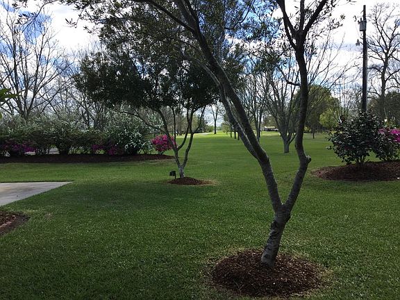 Looking South to Island Road/False River