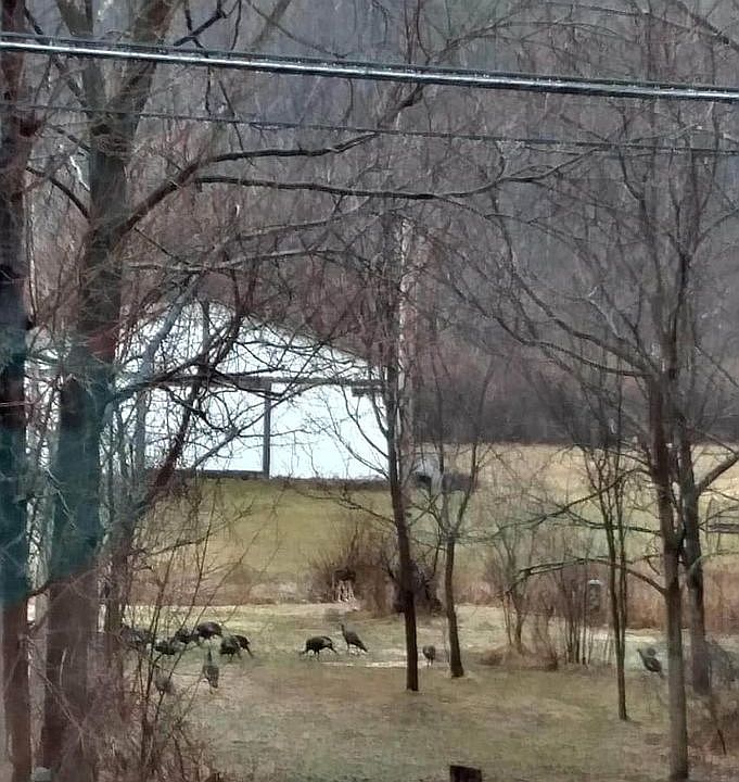 1st image of 269 New Salem South Rd