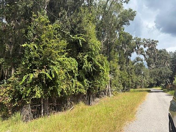 5th image of PINE CABIN ROAD