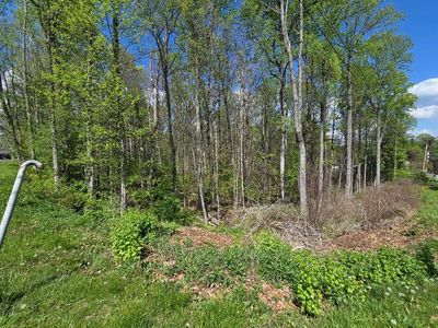 Greenwood Dr, Beckley, WV, 25801