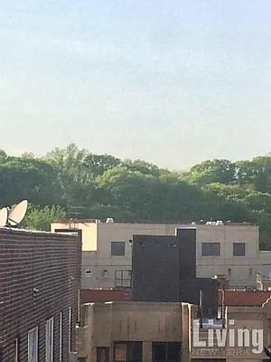 Rented by Living New York | media 18