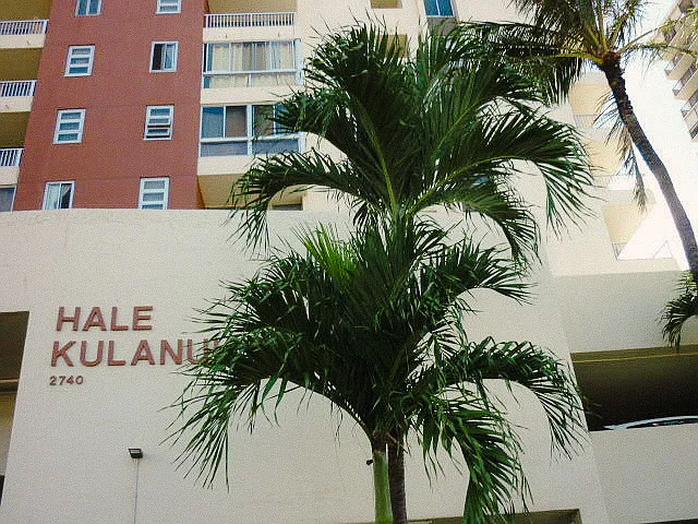 2740 Kuilei St #2101 — Photo 15