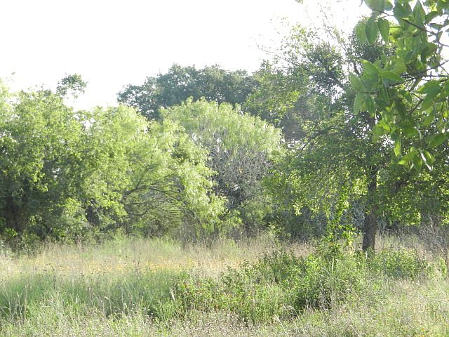 1st image of 913 Oak Bluff Trl