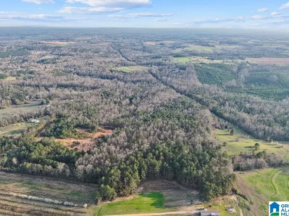 0 County Road 391, Clanton, AL 35045