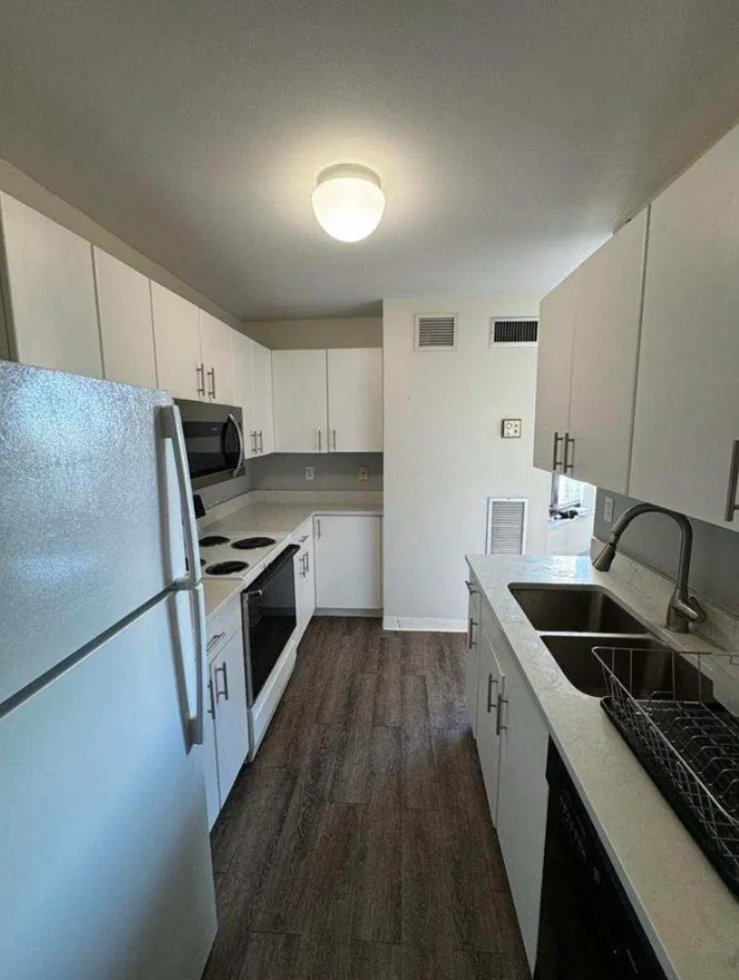 1 bed, 990 sqft, $2,750 — Photo 3