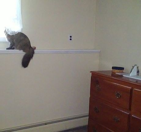 3rd bed in finished basement