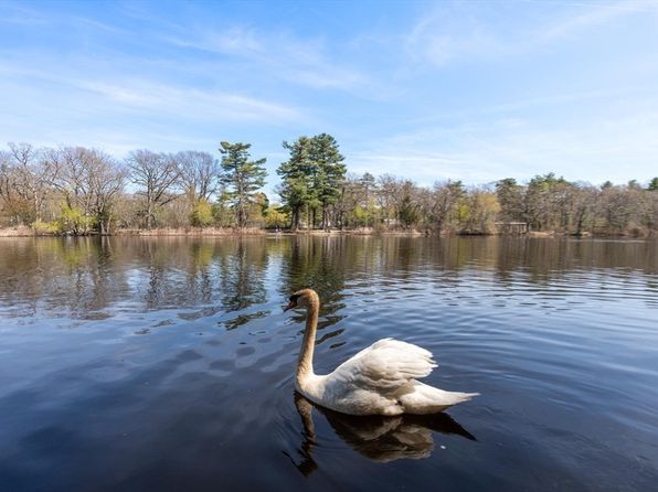 85 Kingswood Rd, Newton, MA 02466