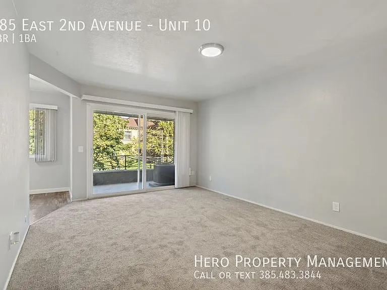 585 E 2nd Ave #10 — Photo 12