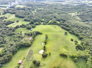 165 Stoney Cv, Midway, TN 37809