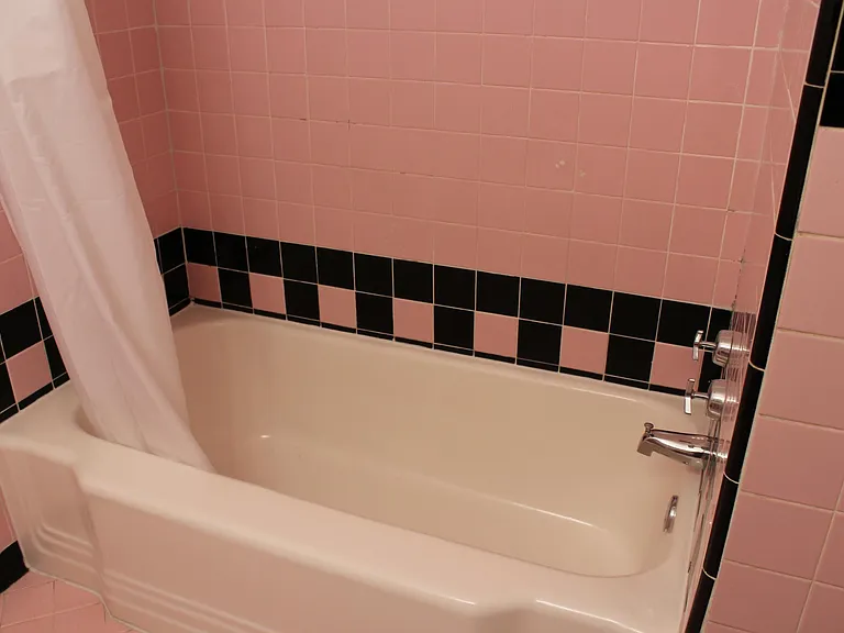 Tub/shower in hall bath