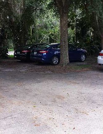 3rd image of 3241 SW 44th St