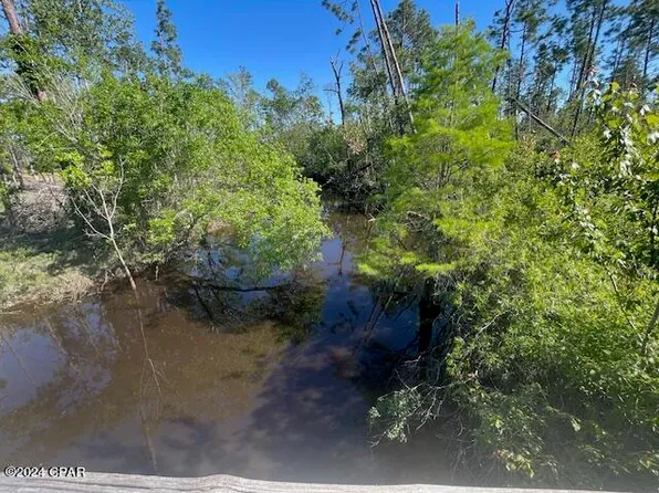 County Road 386 N, Wewahitchka, FL 32465