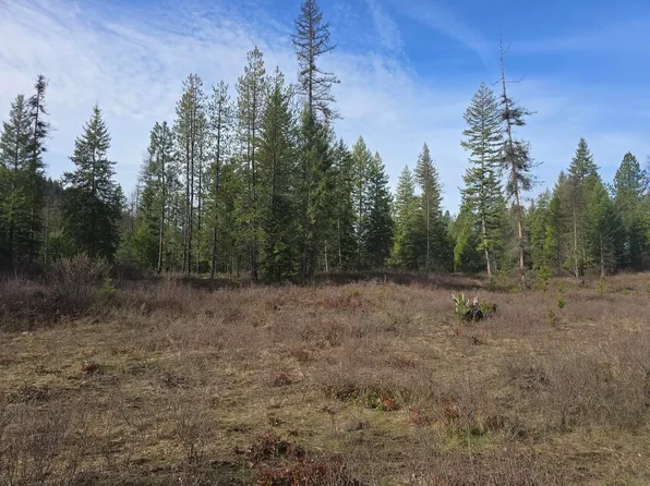 LOT 3 Eleven Larkspur Way, Kettle Falls, WA 99141
