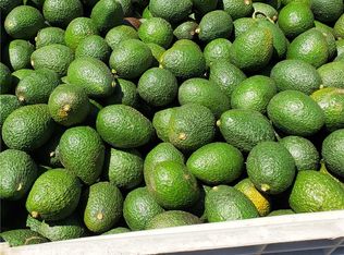 43520 Calle Colina #2, Temecula, CA 92590