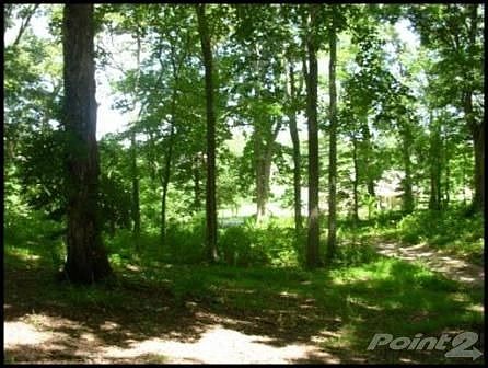 3rd image of 125 Collier Dr