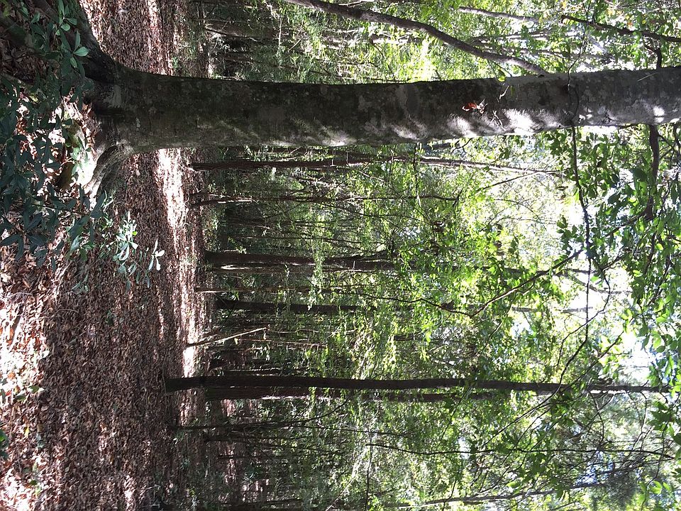 2nd image of Drude Rd #3.23