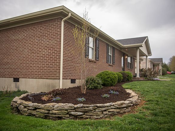 Landscaping w/ Birch Tree