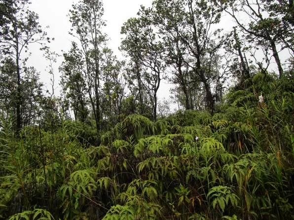 Ala Naulani Rd Lot 44, Volcano, HI 96785
