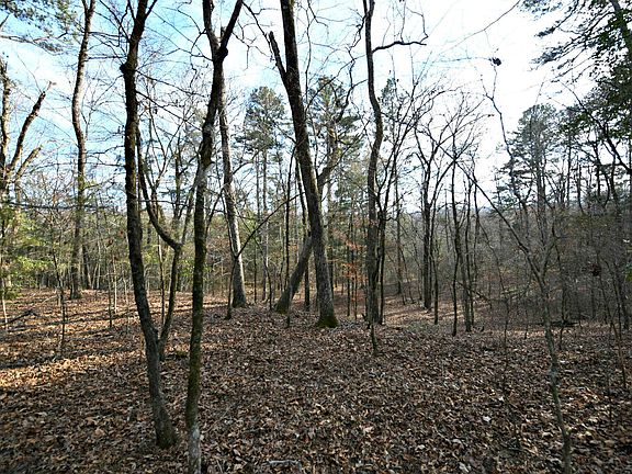5th image of TRACT 3 Polk Rd #95