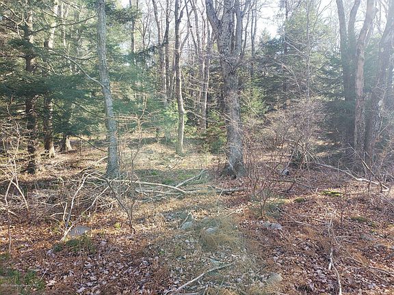 5th image of 3031 Mill Pond Ln