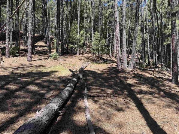 Lot 6 Blk B Sarazen Terrace, Angel Fire, NM 87710