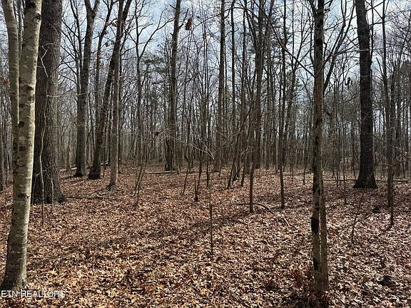4th image of 1261 Roanoke Rd
