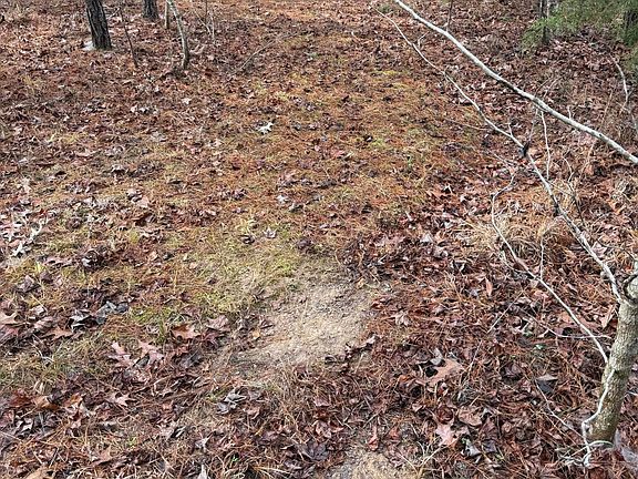 4th image of 602 Ship Island Rd