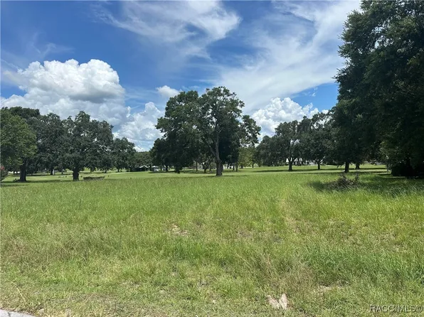 207 E Dakota Ct, Hernando, FL 34442