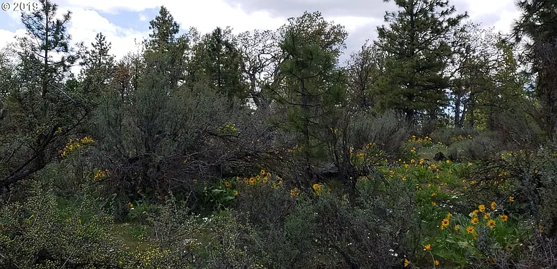 Thumbnail 15