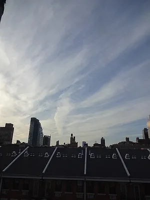 Rented by Authentic Realty | media 21