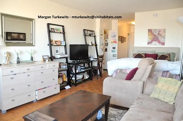 Rented by Citi Habitats | media 18