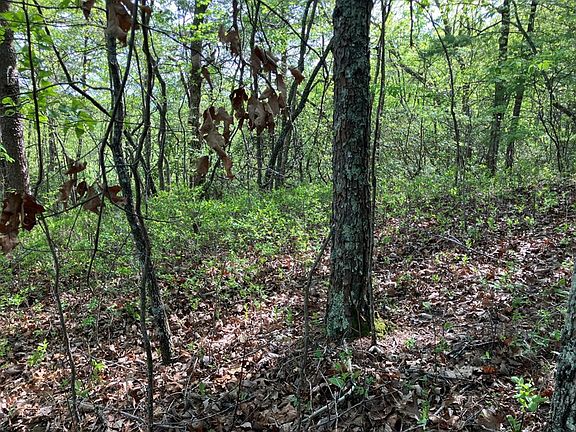 4th image of 24 Mission Ridge Ct Lot 24