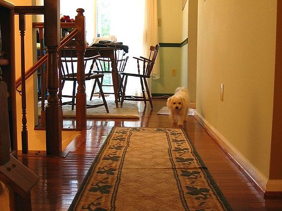 Hall to Kitchen/Dining/Deck