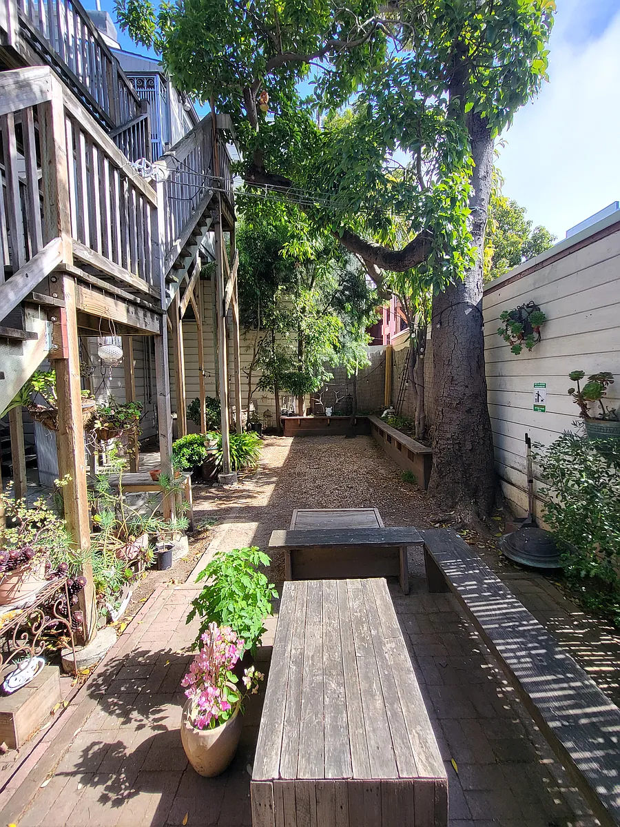 Backyard - 764 Capp St