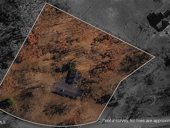 2nd image of 479 Holston Dr