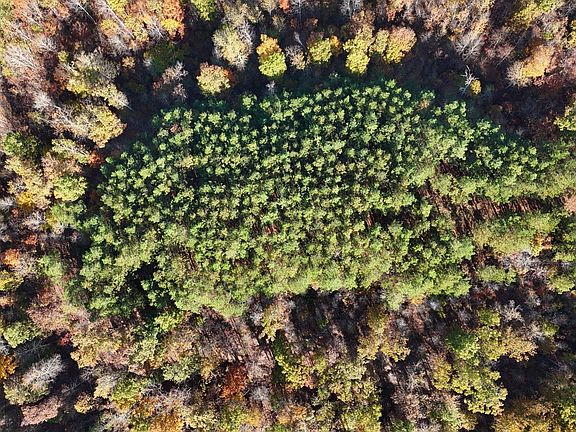 5th image of 3020 McGee Rd Lot 22