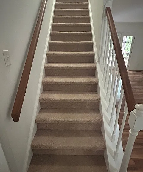 stairs - only carpeted area in home