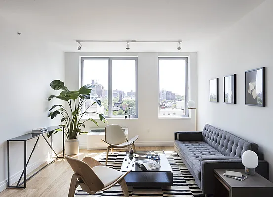 Rented by Two Trees | media 34