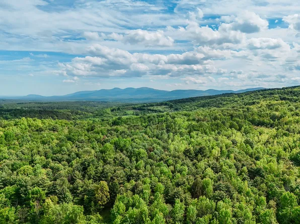 County Road 352 Lot Wp001, Medusa, NY 12120