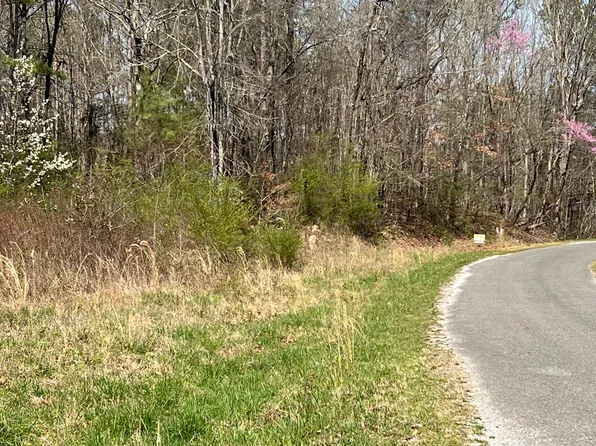 County Road 599 Lot 1, Leesburg, AL 35983
