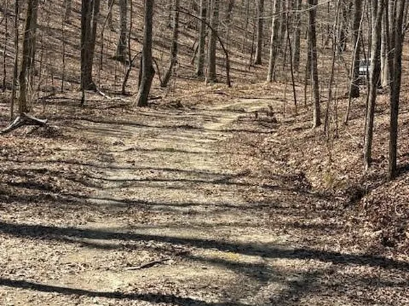 1092 Fern Way #1092, Ranger, GA 30734