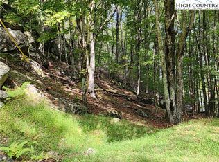 118 & 113 Windridge Rd, Banner Elk, NC 28604