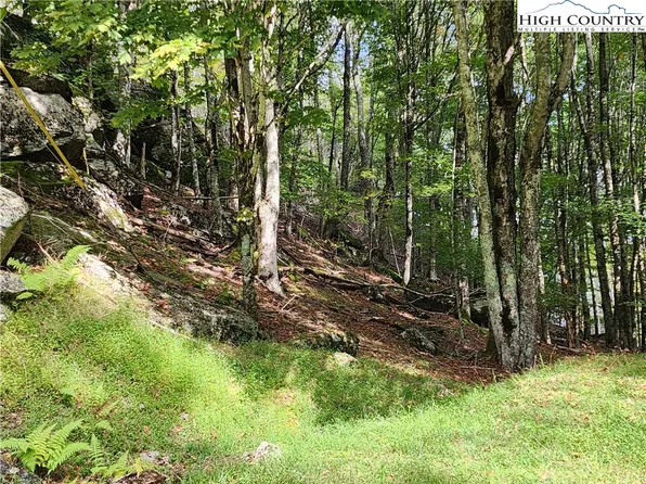 118 & 113 Windridge Road, Beech Mountain, NC 28604