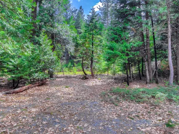 Acres 5 Oso Mesa Ct, Georgetown, CA 95634