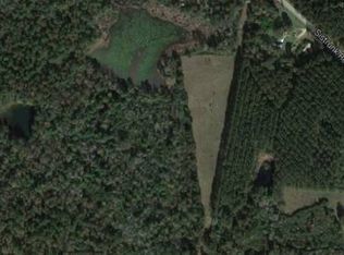 31 Sistrunk Rd, Columbia, MS 39429