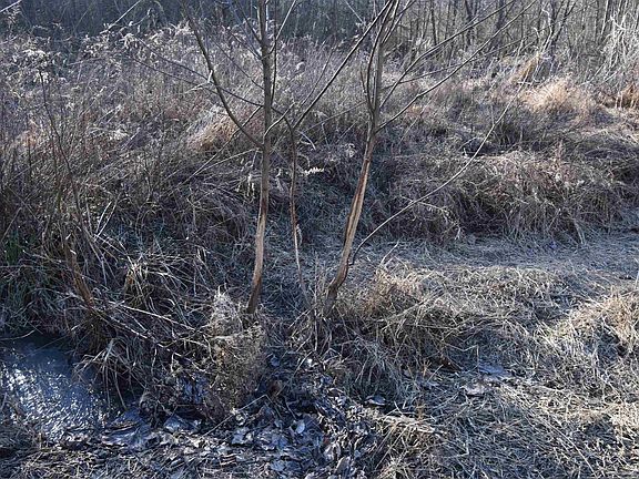 2nd image of 0 S Harts Gravel Rd