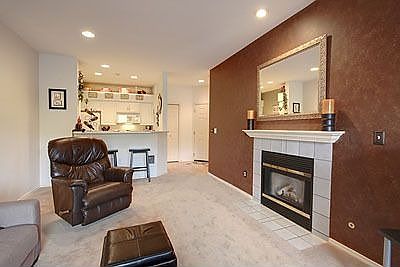 Gas Fireplace and Decorator Paint