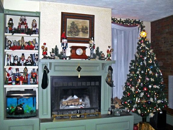 Living Room Fireplace